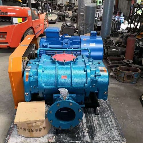 1634776740556547.jpg 罗茨7.jpg